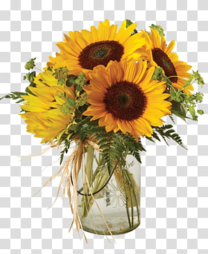 Sunflower Mason Jar transparent background PNG cliparts free.