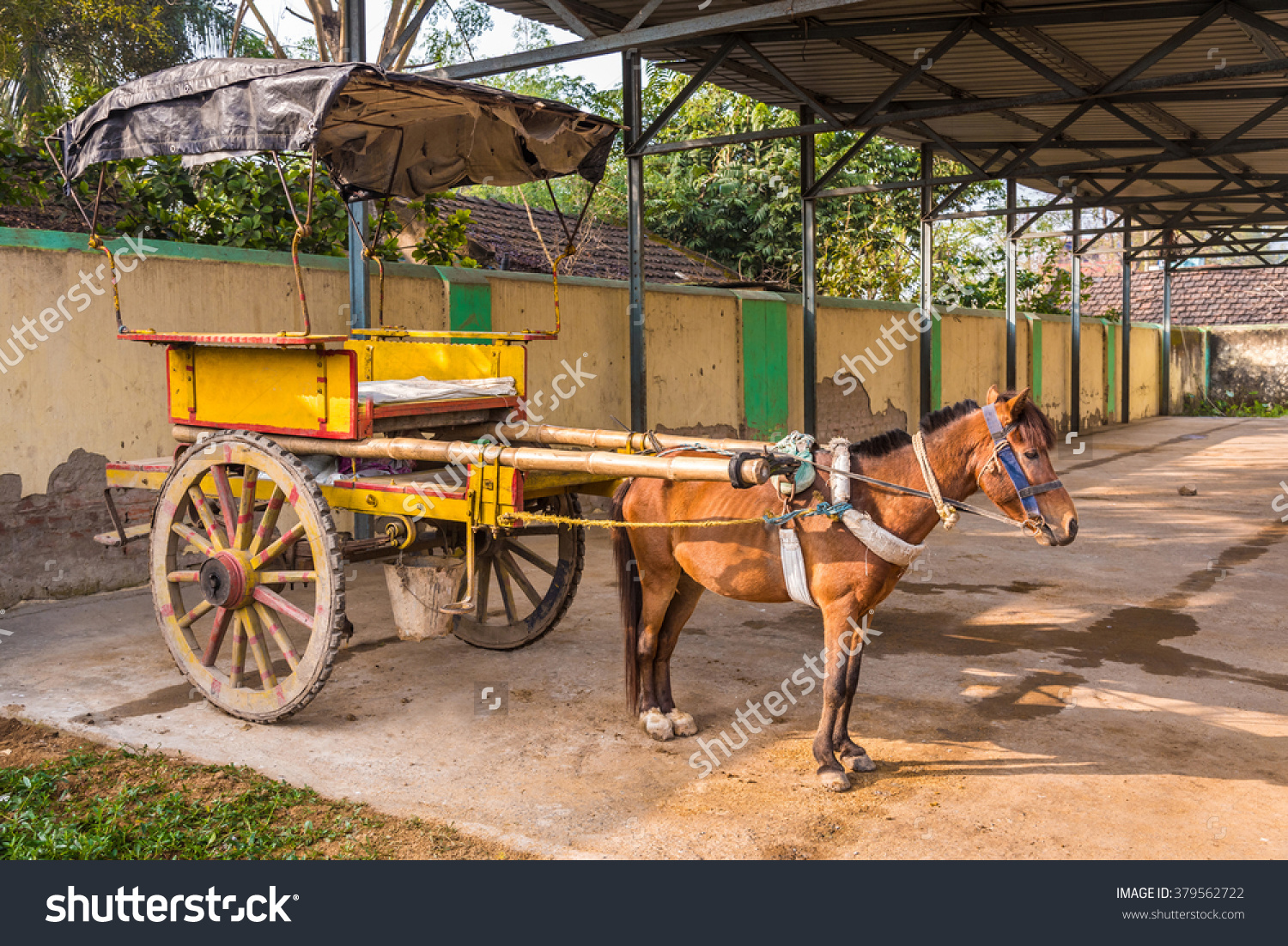 Traditional Horse Cart Known Tanga Murshidabad Stock Photo.