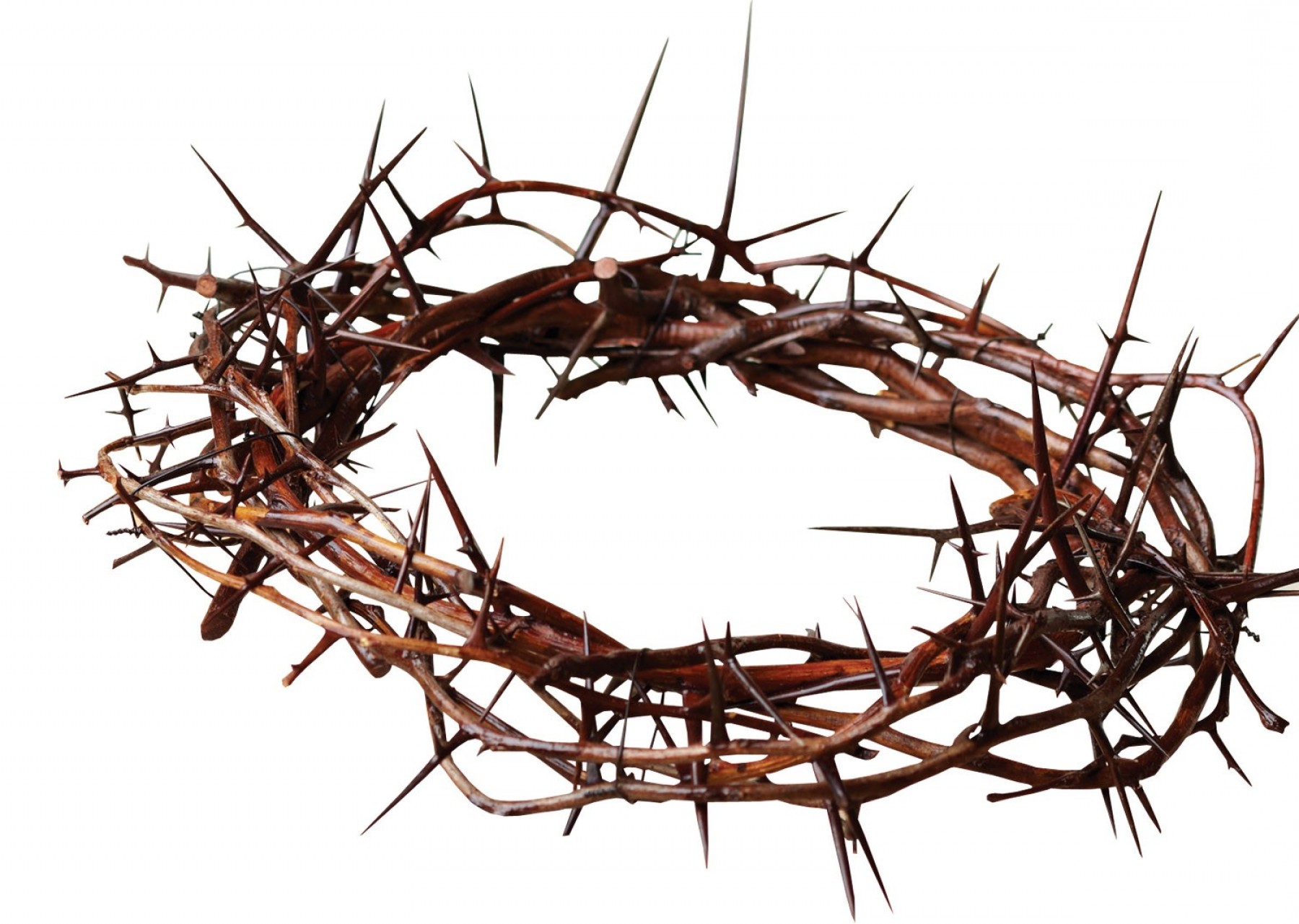 Best Crown Of Thorns With Cross Clip Art Vector Layout.