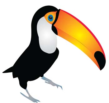 Best Toucan Clipart #19597.