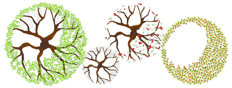 Showing post & media for Evergreen tree cad symbols.