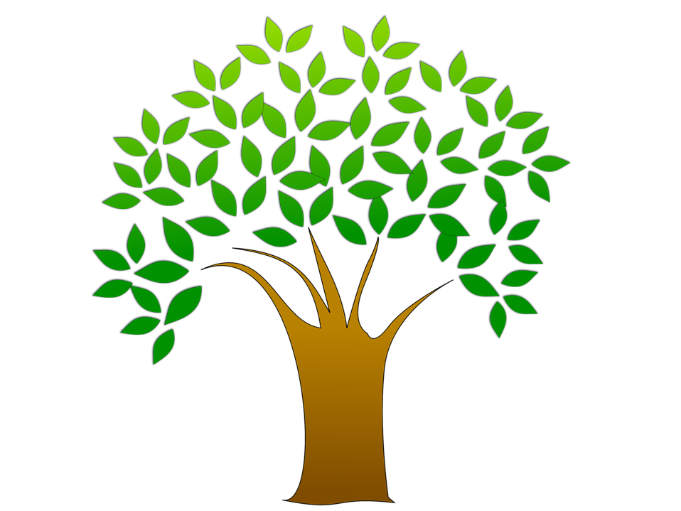 Tree Clip Art With Leaves.