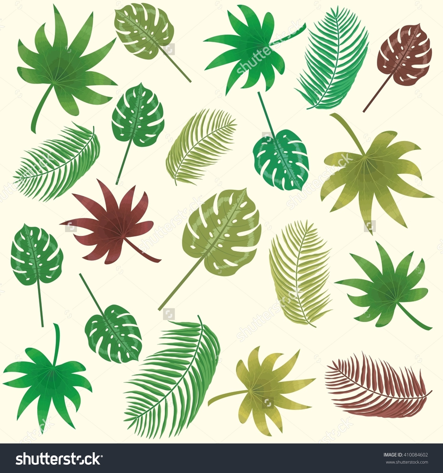 Tropical Banana Leaves Aralia Philodendron Monstera Stock Vector.