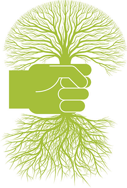 Uprooted Tree Clip Art, Vector Images & Illustrations.