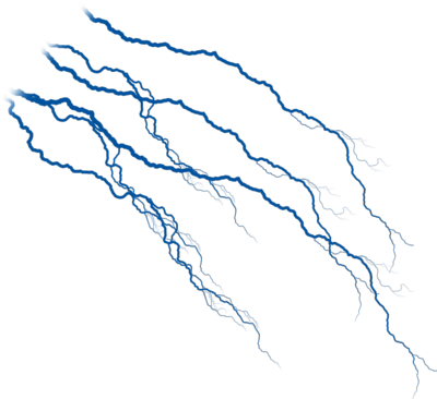 Veins PNG Transparent Images.