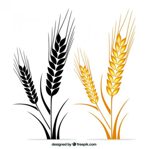 Free Clipart Of Wheat Stalks.