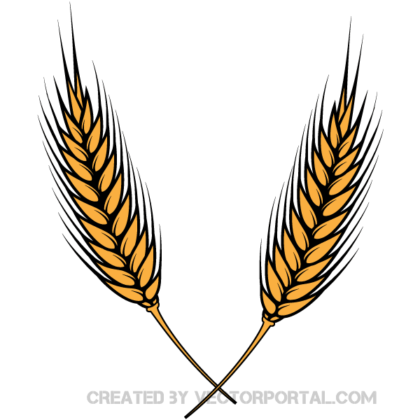 10+ Wheat Clipart Images Vectors.