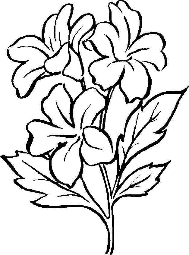 Plant Black And White Clipart.