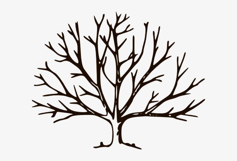 Clipart Empty Tree Chocolate Clip Art At Clker Com.