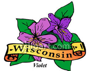 Wisconsin State Flower, the Violet.