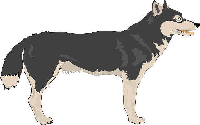 Free Wolf Cliparts, Download Free Clip Art, Free Clip Art on.