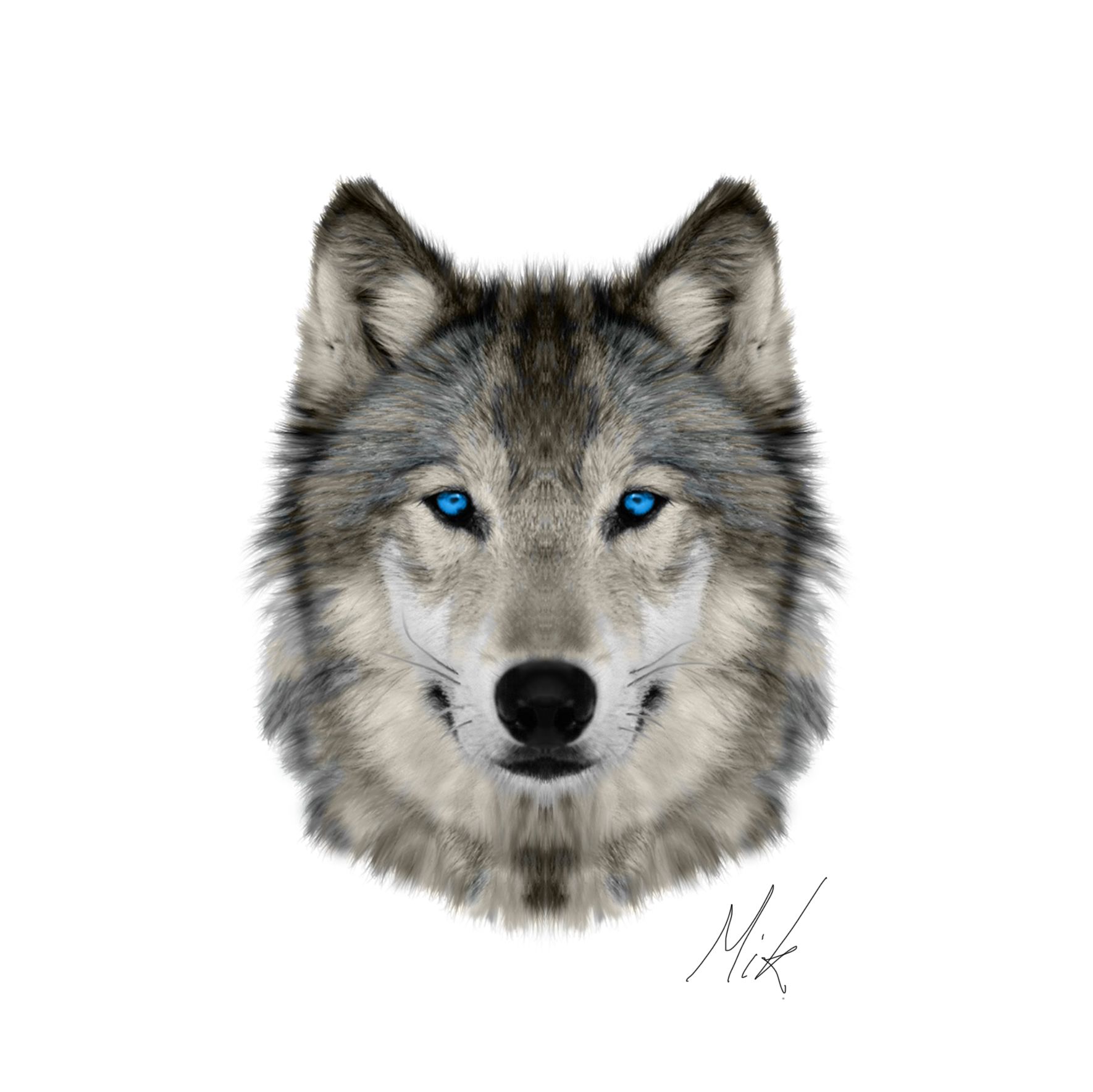 Wolf Head Png (93+ Images In Collection) #258602.