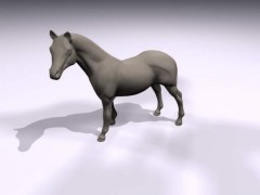 Pferd 3d model