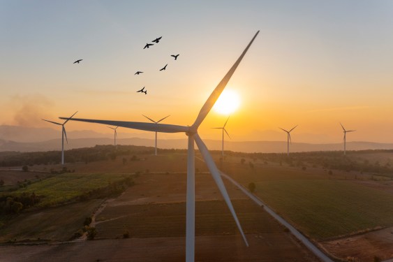 Wind turbine spins at sunrise.