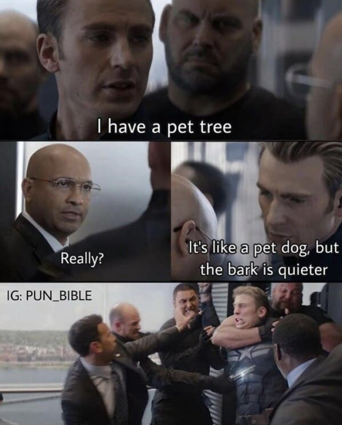 20. A pet tree