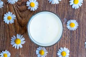 Ansicht von oben auf ein gefülltes Glas Milch zwischen Gänseblümchen, auf einem rustikalen Holztisch