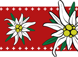 Edelweiss PNG