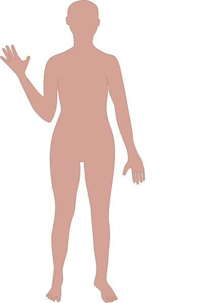 Body Free Download PNG