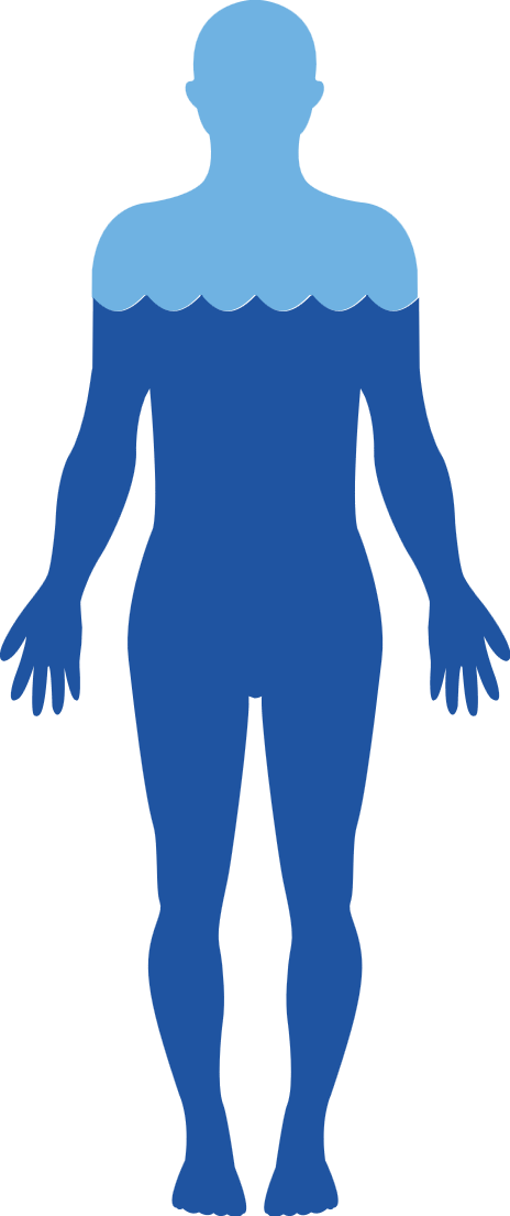 Body Free PNG Image