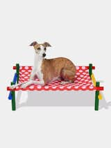 Vetreska Chroma Pet Bed