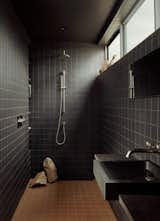 The main bathroom walls and shower are clad in tile, and illuminated with a clerestory window.