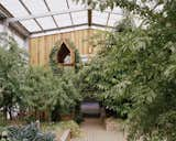 A glimpse of the raised garden beds and a thriving avocado tree. The firm used Australian cypress pine for barn doors, walls, surfaces, planters, seating, and decking, for its resistance to rot. "It can be plunged into the ground and, if used in large enough sections, yields a kind of chunky appeal," says Hill.