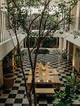 Local flora is brought indoors to inject life into the atrium. The Chaca tree serves as a major focal point. 