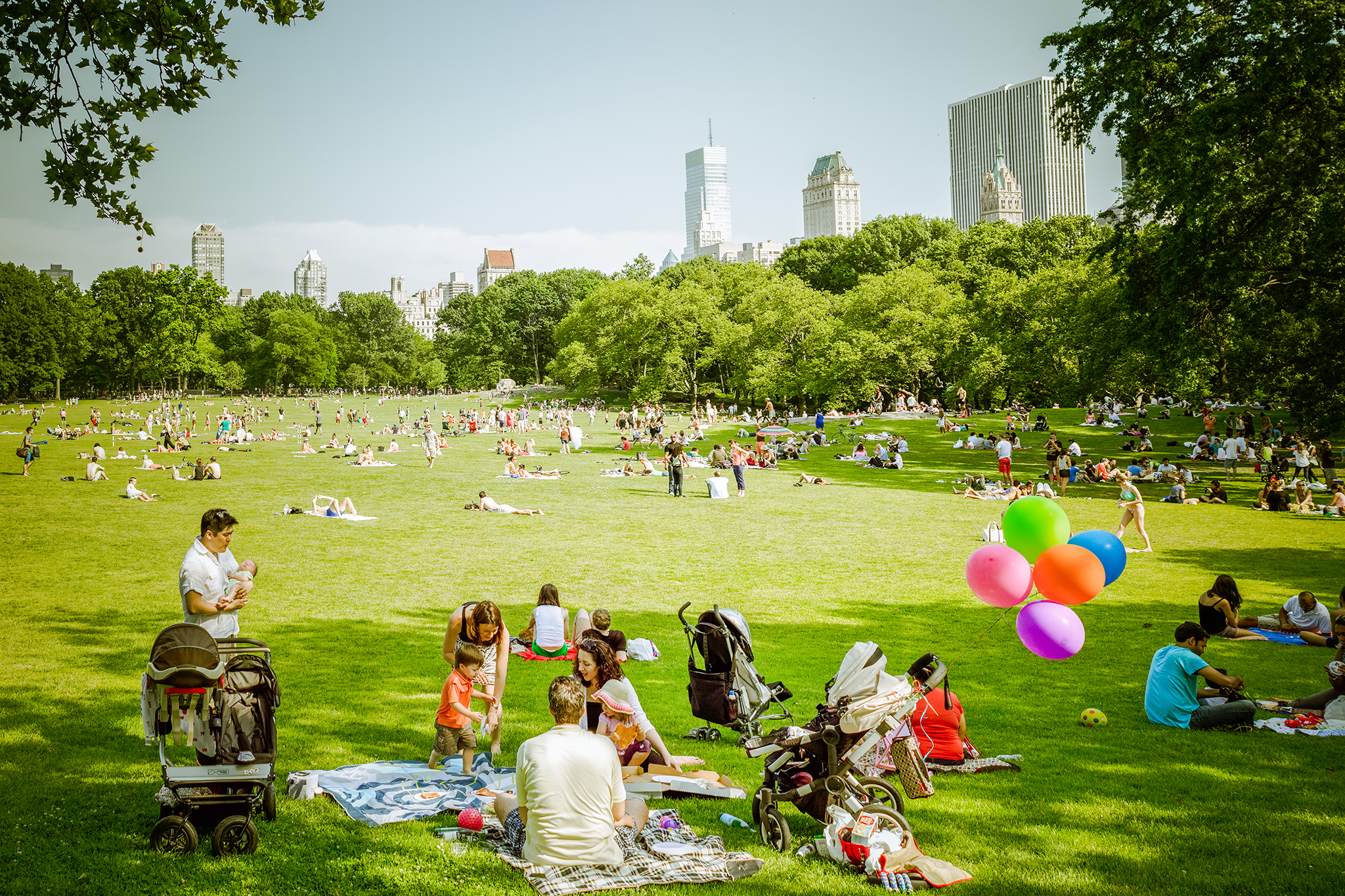 Picnic In Park