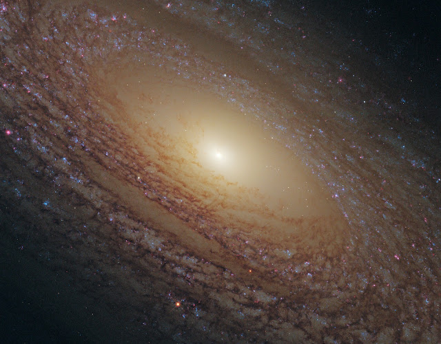 Spiral Galaxy NGC 2841