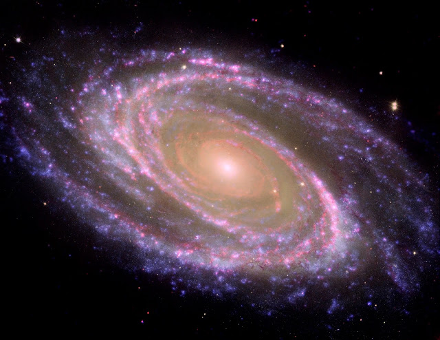 Spiral Galaxy Messier 81