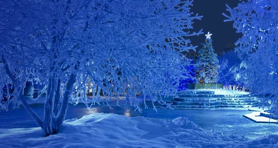 Nighttime view of the Christmas tree and blue light decorations in Anchorage's Town Square, Alaska