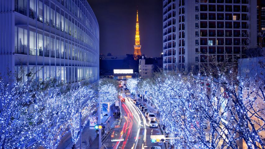 けやき坂のイルミネーション, 東京