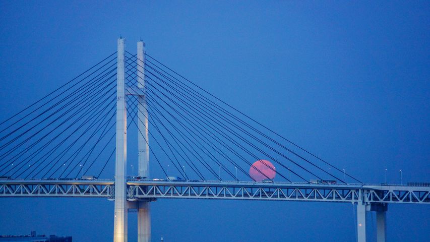 横浜ベイブリッジと満月, 神奈川県 横浜市