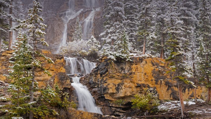 Cascate Tangle Creek Parco Nazionale di Jasper, Alberta, Canada