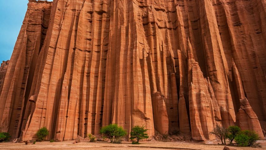 Parco Nazionale di Talampaya, provincia di La Rioja, Argentina