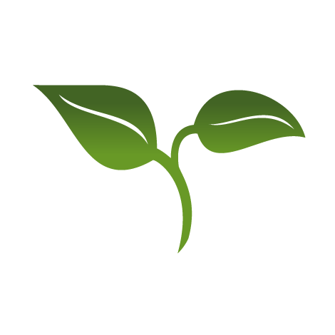 Leaf Transparent Logo - LogoDix