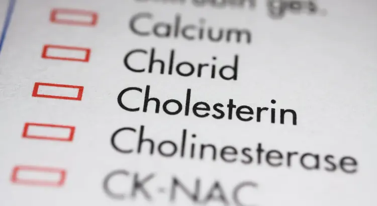 cholesterinwerte im blick