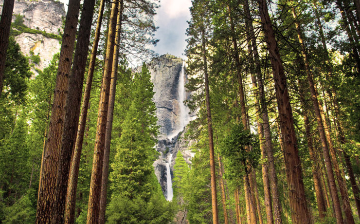 Yosemite National Park