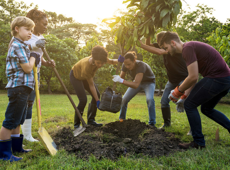 Community Citizens Planting a Tree