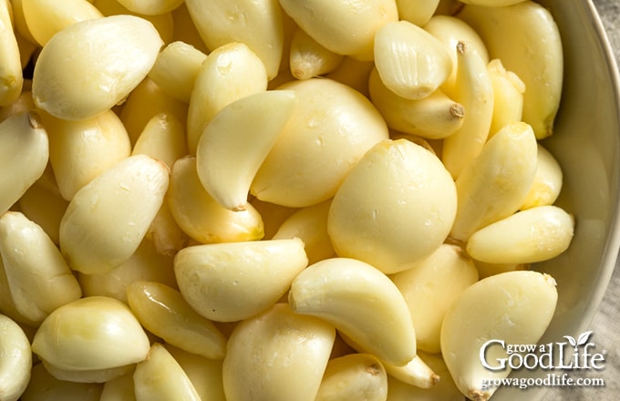 peeled garlic cloves in a bowl