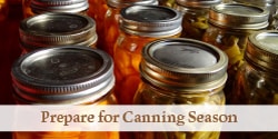 over head photo of home canned carrots and beans on a kitchen counter