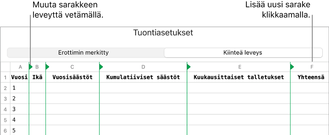 Kiinteän leveyden tekstitiedoston tuontiasetukset.