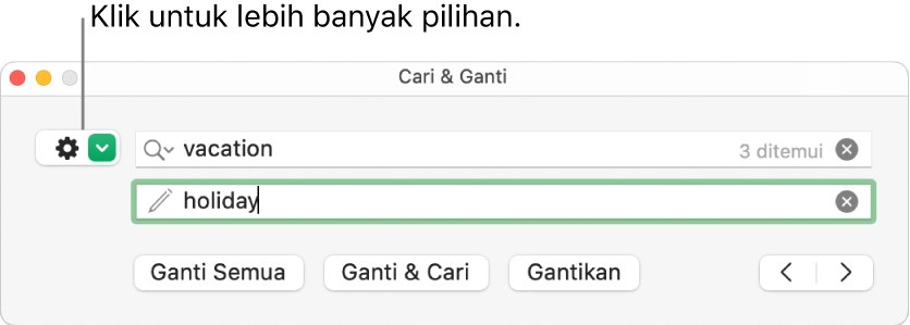 Tetingkap Cari & Ganti tanpa petak bual kepada butang untuk menunjukkan lebih banyak pilihan.