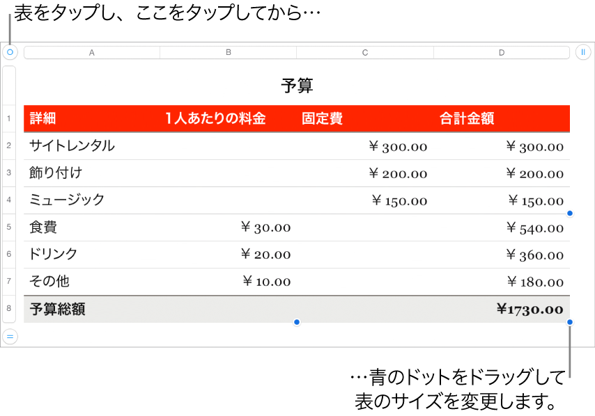 選択された表。サイズを変更するための青いドットが表示された状態。