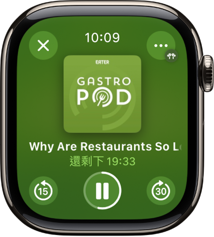 Podcast App 顯示「播放中」畫面，中間顯示專輯封面、單集標題和剩餘時間。螢幕底部為「跳到上一段」、「播放/暫停」和「跳到下一段」按鈕。「更多選項」按鈕位於右上方；「關閉」按鈕位於左上方。