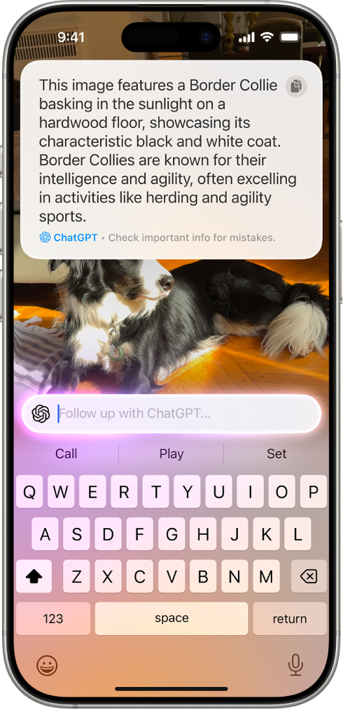 The visual intelligence screen showing ChatGPT results. At the top of the screen is the ChatGPT description of a dog captured with the iPhone camera. In the middle of the screen is a text field to enter follow-up text to send to ChatGPT.