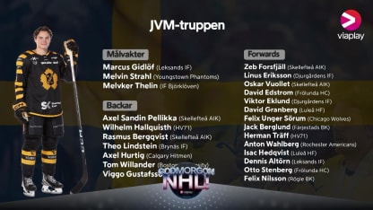 Godmorgon NHL! om Sveriges JVM-lag