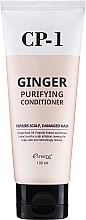 Hoitoaine Esthetic House CP-1 Ginger Purifying Conditioner