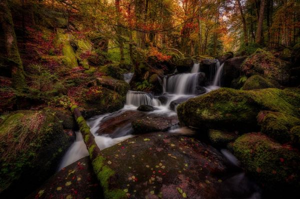 Cachoeira,Natureza,Floresta,Rio,Riacho,corrego