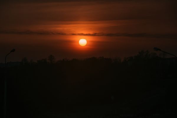 alberi, natura, foresta, campo, mother nature, tramonto